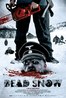 红色的雪