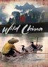 美丽中国