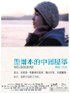 墨尔本的中国风筝.2010