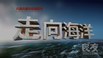 走向海洋.2011