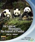 卧龙天府 熊猫传奇.2009
