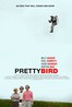 Pretty Bird.2008