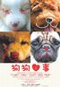 狗狗心事