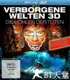 隐秘世界3D:死者的洞穴