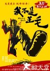 我不是王毛