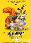 龙在哪里？