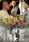毛驴县令之你我他