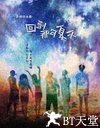 回到那年夏天