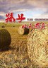 孙子从美国来.2012