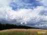 奇迹三雄之扑克游戏.201